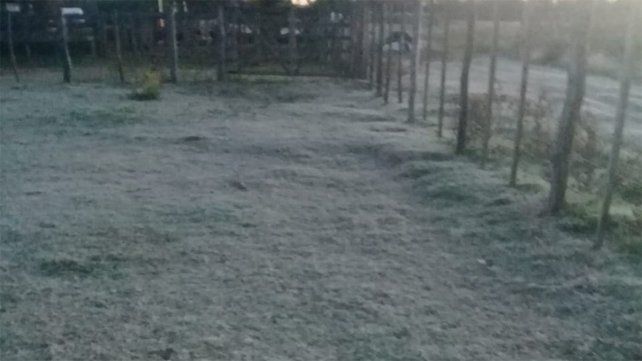 Fotos de los campos helados en la zona de La Balsa, en cercanías del arroyo Las Conchas