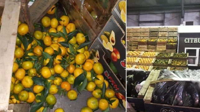 Las mandarinas con hojas no pueden comercializarse. Pero así fueron vistas en Mar del Plata. 
