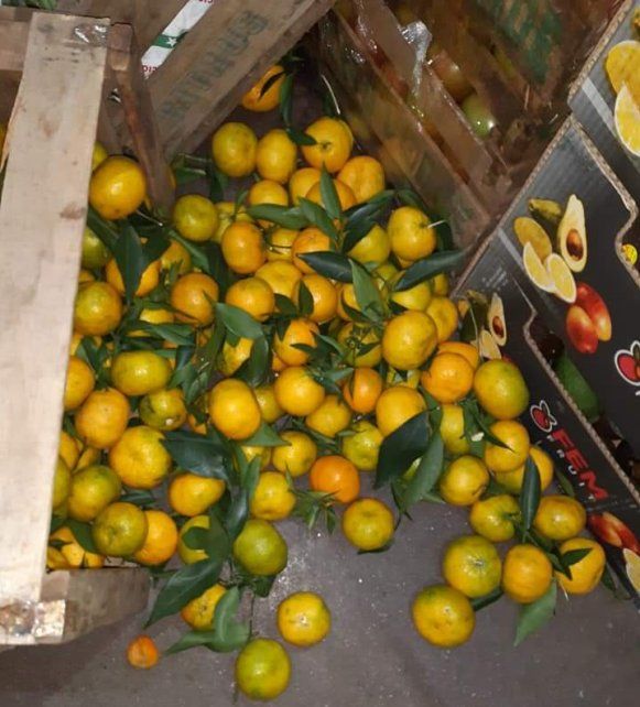 La venta de mandarinas con hojas está prohibida por razones sanitarias.