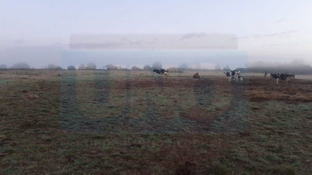 IM&Aacute;GENES TOMADAS EN EL EJIDO RURAL DE VILLA URQUIZA