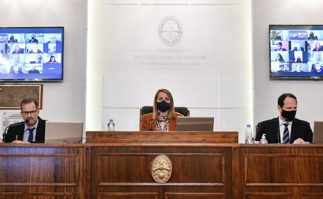 Stratta defendió la probación de la ley de emergencia.