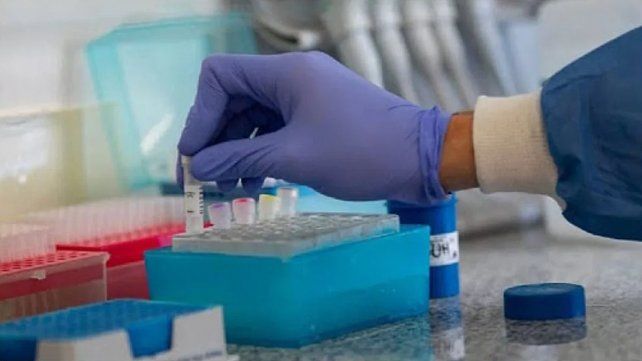 Aplanar la curva del virus, dicen desde el poder, pero pandemia y encierro generan dudas como la decisión de aplanar la curva de la información.