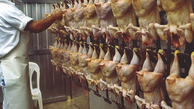 La carne aviar es uno de los productos que encabeza las exportaciones.