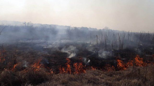 Foto Acción Ciudadana contra el fuego