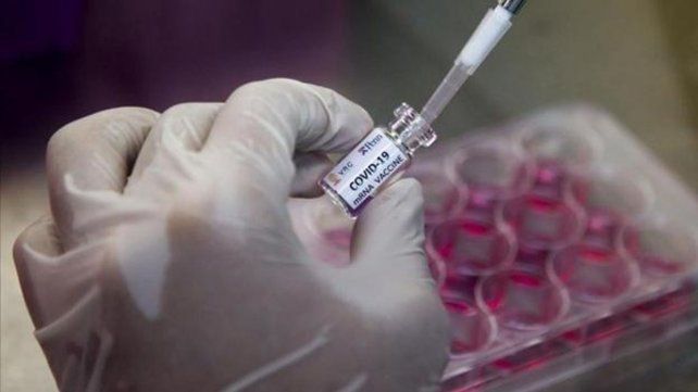 Oxford reanudará los ensayos de su vacuna contra el coronavirus