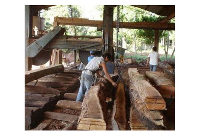 Los uniformados dieron intervención a la Fiscalía de turno, seguramente se investigará la situación de un menor en ese aserradero.