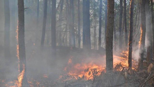 Córdoba: declaran el "estado de alerta ambiental" por riesgo de incendios Córdoba: declaran el "estado de alerta ambiental" por riesgo de incendios