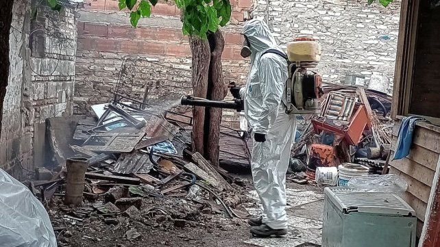 Fumigaciones en Concordia. Fumigaciones en Concordia.