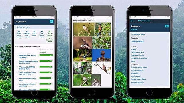 Participar. Es sencillo y no requiere inscripción previa; sólo se propone subir al menos una lista de aves a eBird ese día. Participar. Es sencillo y no requiere inscripción previa; sólo se propone subir al menos una lista de aves a eBird ese día.