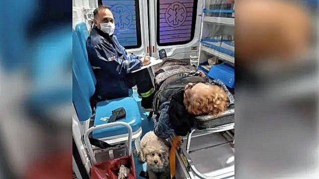 La mujer caminaba junto a su mascota y se desmayó, sufrió un ACV. El animal