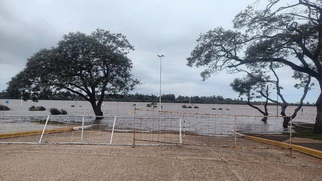 El desarraigo que padecen las familias. El desarraigo que padecen las familias.