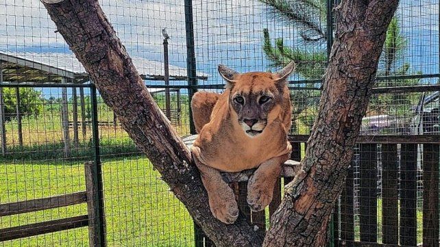 En Parque Pericos realizan una importante labor de rescatar animales y brindar educación ambiental En Parque Pericos realizan una importante labor de rescatar animales y brindar educación ambiental