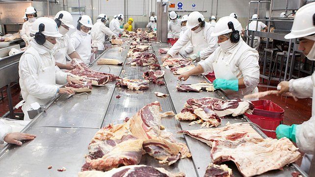 Exportación de Carne: gran expectativa desde la industria