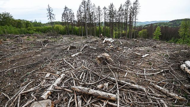 El mundo sufre los afectos del cambio climático El mundo sufre los afectos del cambio climático