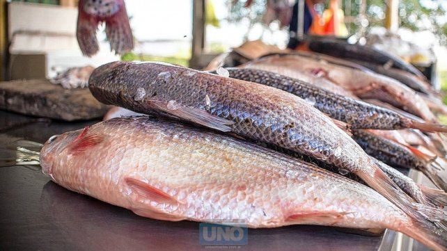 Se consigue poco pescado actualmente.