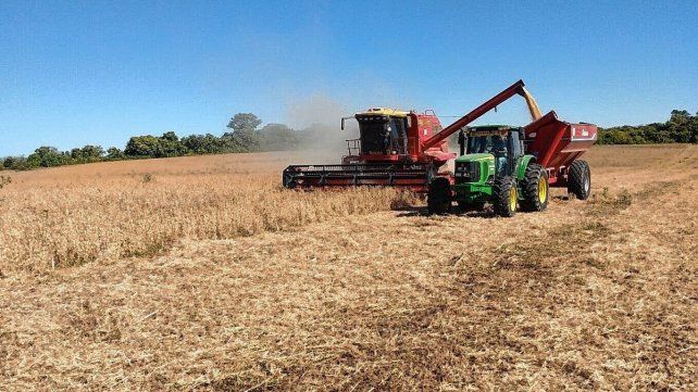 La falta de gasoil impacta en los sectores productivos.