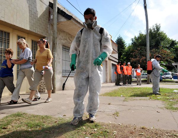 Pese a las tareas de prevención, el mosquito Aedes Aegypti es resistente a los químicos.