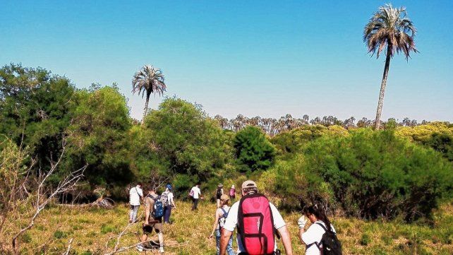 El Palmar recibe visitantes todo el año El Palmar recibe visitantes todo el año