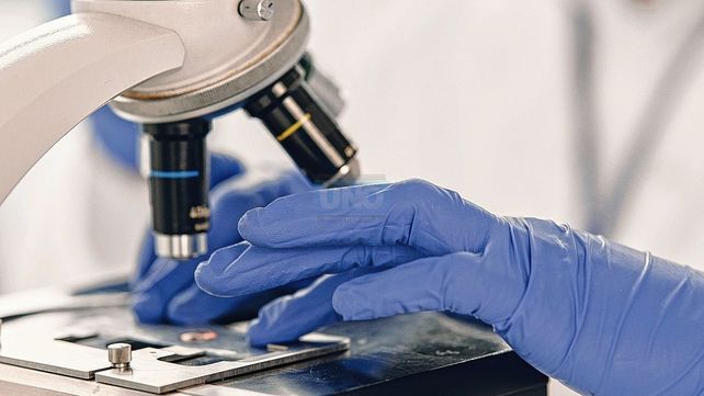 Pruebas. “Es el primer tumor que parecería responder a esta terapia”, explicó la investigadora.