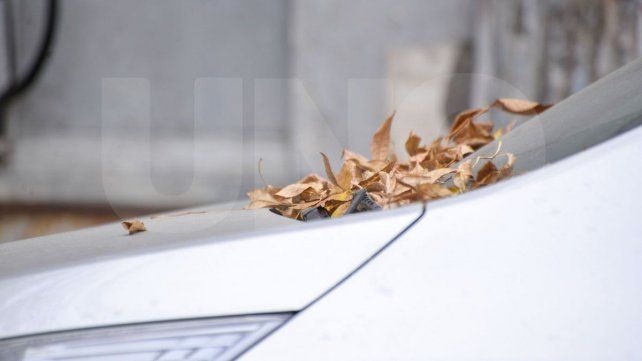 Entre Ríos: miércoles despejado con máximas de 25 grados Entre Ríos: miércoles despejado con máximas de 25 grados