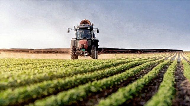 Entre Ríos aportó cereales, arroz y carnes en un semestre histórico de exportaciones