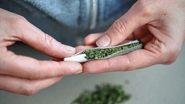 Piden políticas para prevenir el consumo de drogas Piden políticas para prevenir el consumo de drogas