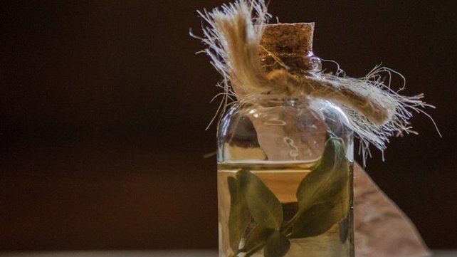 Por qué se debe tomar caña con ruda en ayunas cada 1º de agosto