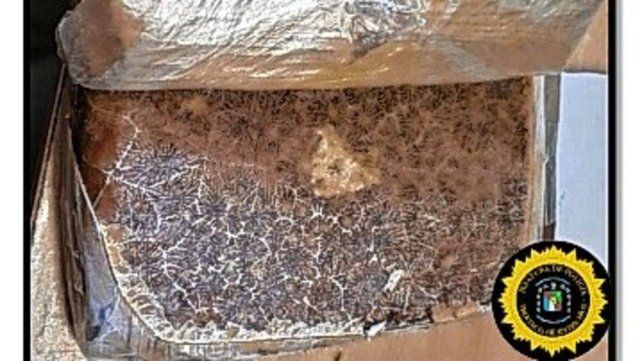 Detenidos cerca de Concordia. Detenidos cerca de Concordia.