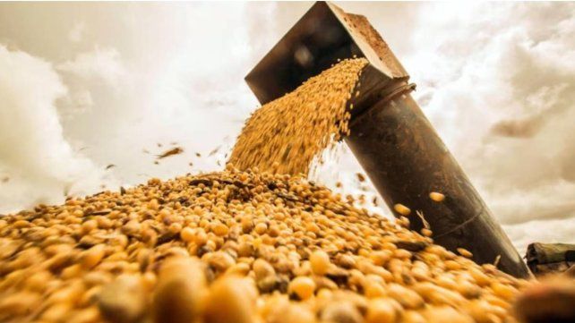 Ley de Semillas: punto clave del acuerdo con Estados Unidos reabre una grieta en el campo Ley de Semillas: punto clave del acuerdo con Estados Unidos reabre una grieta en el campo