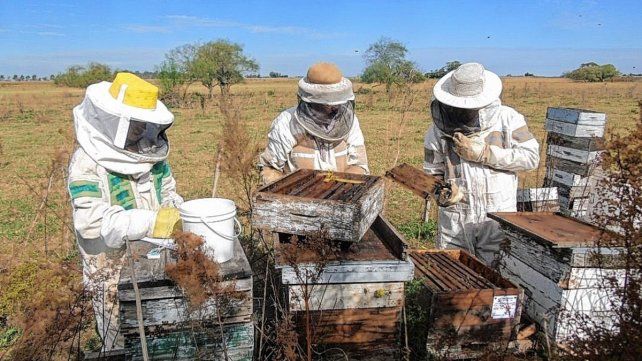 Apicultores programan protesta en ruta 14. Apicultores programan protesta en ruta 14.
