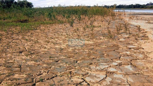 Alumnos de la escuela de canotaje cruzaron el río Paraná caminando