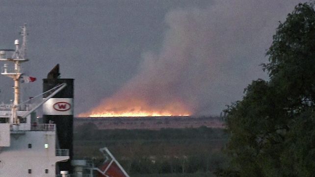 Durante varios meses las islas frente a Rosario fueron arrasadas por el avance del fuego. Durante varios meses las islas frente a Rosario fueron arrasadas por el avance del fuego.