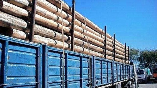 En Entre Ríos se trabaja el eucalipto principalmente En Entre Ríos se trabaja el eucalipto principalmente