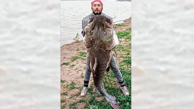 Santafesino pescó un surubí de 40 kilos en el río Paraná