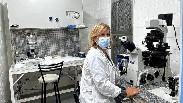 El inicio de una vida en la era de los estudios genéticos. La Medicina Reproductiva y la genética como herramienta para lograr el embarazo