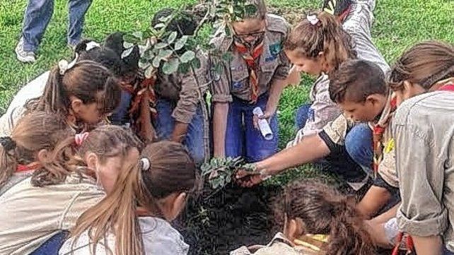 Juventud. Las y los Scout de Larroque en una de sus actividades, plantando un árbol.