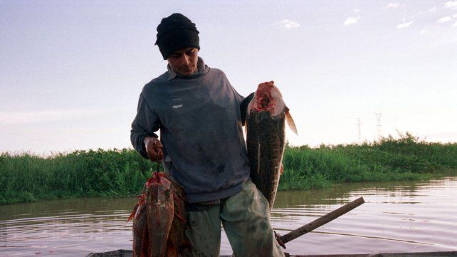 Aseguran que los pescadores no pueden generar ingresos para subsistir.