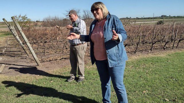 Julio Ingold y Mirta Rivas reciben a los turistas en Los Pinos. En 1992 la bodega compró 1.050 plantas de merlot en el sur de Francia que aun hoy producen. Julio Ingold y Mirta Rivas reciben a los turistas en Los Pinos. En 1992 la bodega compró 1.050 plantas de merlot en el sur de Francia que aun hoy producen.