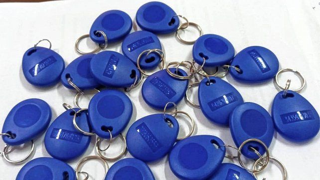 Los alumnos presentaron el proyecto.