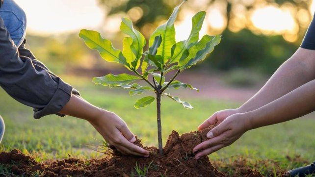 Realizarán actividades por el Día Mundial de la Tierra Realizarán actividades por el Día Mundial de la Tierra