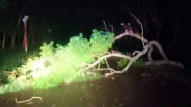 El temporal de agua y viento generó inconvenientes en Oro Verde y también Sauce Montrull. Pronostican que las lluvias continuarán El temporal de agua y viento generó inconvenientes en Oro Verde y también Sauce Montrull. Pronostican que las lluvias continuarán
