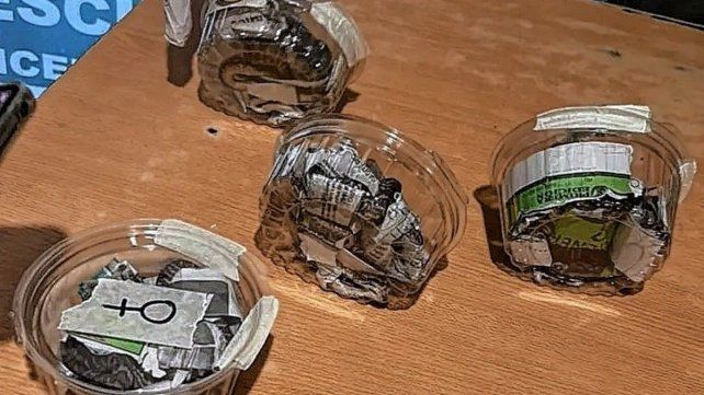 San José: rescataron seis crías de serpiente ocultas en una encomienda. San José: rescataron seis crías de serpiente ocultas en una encomienda.