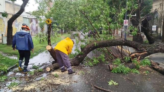 El área de Protección Civil no descansa hasta que termina la emergencia en cada temporal El área de Protección Civil no descansa hasta que termina la emergencia en cada temporal