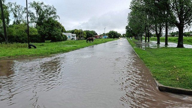 En pocas horas cayeron más de 160 milímetros en Basavilbaso. En pocas horas cayeron más de 160 milímetros en Basavilbaso.