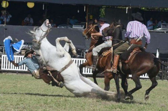 El maltrato animal tiene que estar en la agenda de los funcionarios municipales.