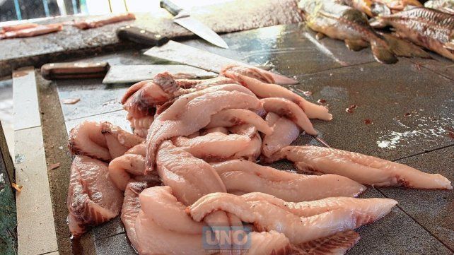 Por la crecida puede haber más peces, pero cuesta más capturarlo Por la crecida puede haber más peces, pero cuesta más capturarlo