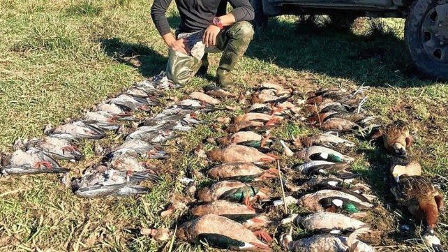 Hoy se debate en Victoria la habilitación de la temporada de caza menor 2026 Hoy se debate en Victoria la habilitación de la temporada de caza menor 2026