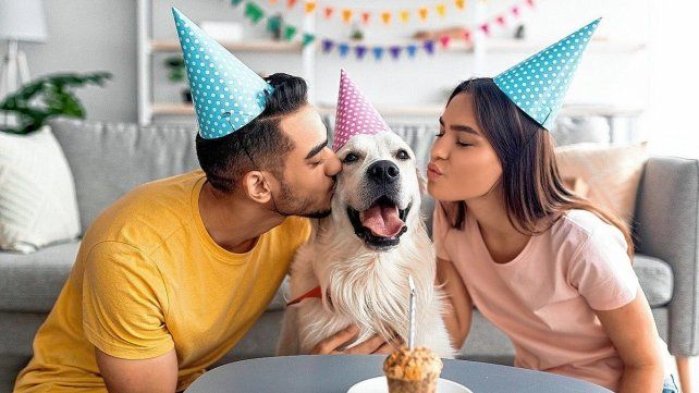 Entre las mascotas y las personas se crea un fuerte vínculo