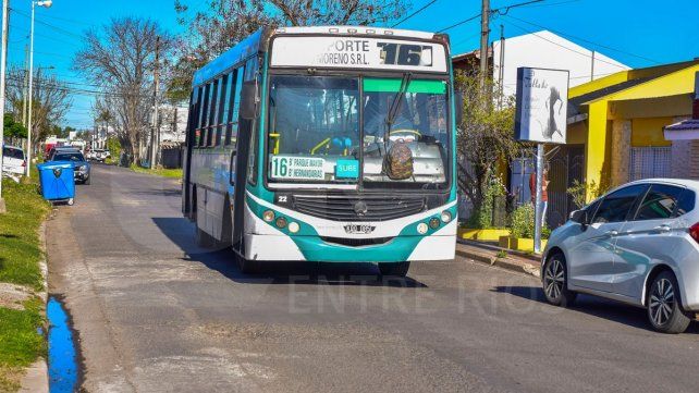 El transporte urbano de pasajeros será gratuito durante las elecciones del domingo. El transporte urbano de pasajeros será gratuito durante las elecciones del domingo.
