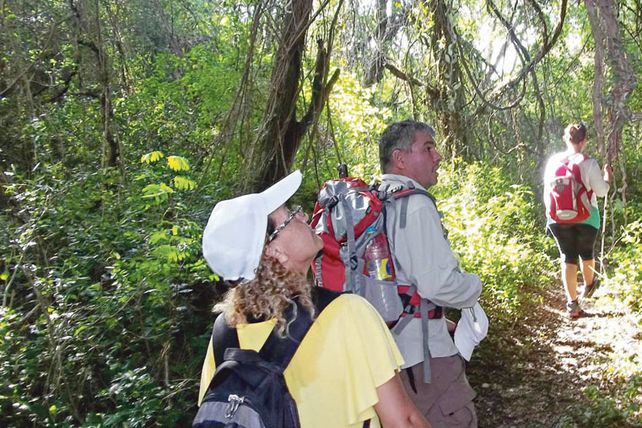 LAS CLAVES. Proteger el entorno sin modificarlo; conocer el lugar, la flora y la fauna, y convivir con la naturaleza. Foto Gentileza/ Litoral Ecoturismo